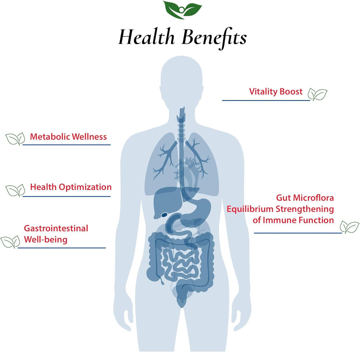 Foods For Gut Lactobacillus Casei Probiotic Powder - 30g - image 4