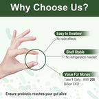 Cfuful Probiotics for Women & Men