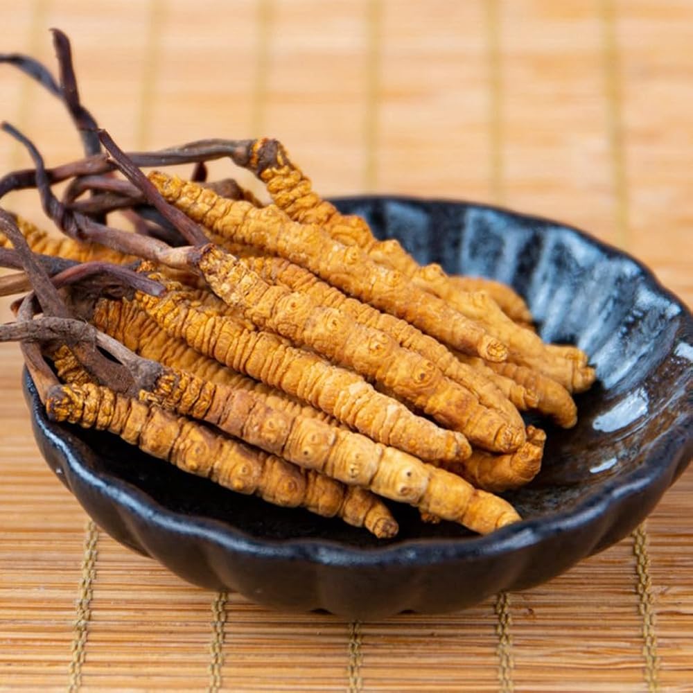 CHENXXLD Cordyceps Sinensis Chongcao Herbal Supplement - 3g - image 2