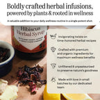 Hany's Harvest Hibiscus Ginger Herbal Syrup - 16 fl oz - image 2