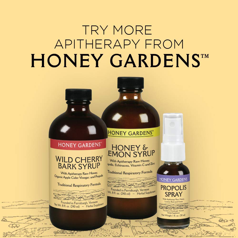 Honey Gardens Elderberry Syrup with Raw Honey & Propolis - 4 Fl Oz (2pk) - image 5