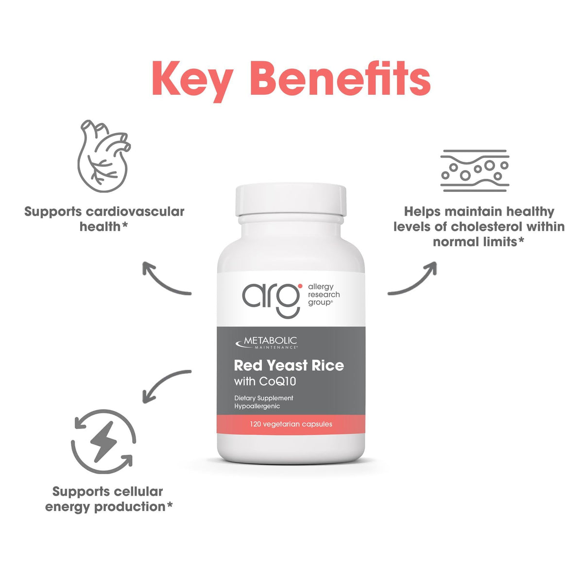 Metabolic Maintenance Red Yeast Rice with CoQ10 - 120 Capsules - image 4