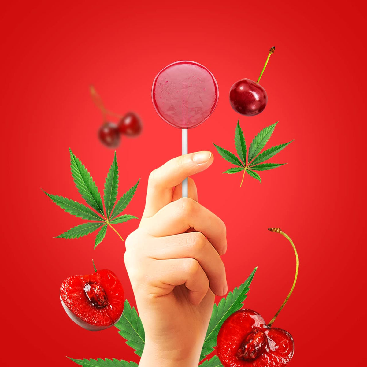 Happy Healthy Wellness Hemp Lollipops - 9 Count - image 2