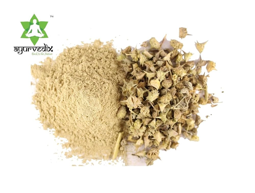 ayurvedix Organic Gokshura Powder Tribulus Terrestris - 200g - image 4
