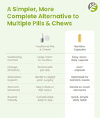 BariSlim Once Daily Bariatric Multivitamin Capsule - 45 mg Iron