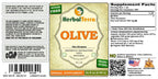 Herbal Terra LLC Olive (Olea Europaea) Tincture