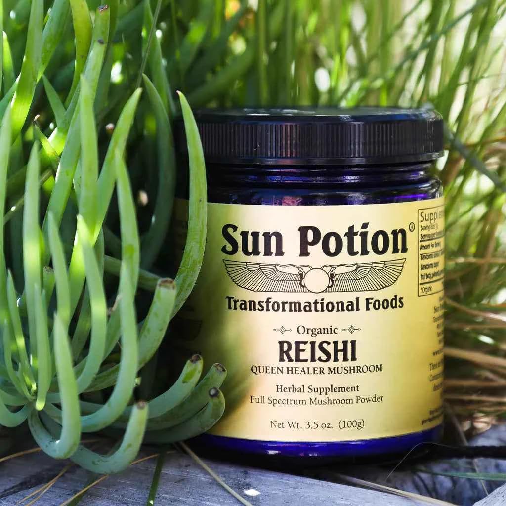 Sun Potion Reishi Mushroom Powder - 100g - image 5