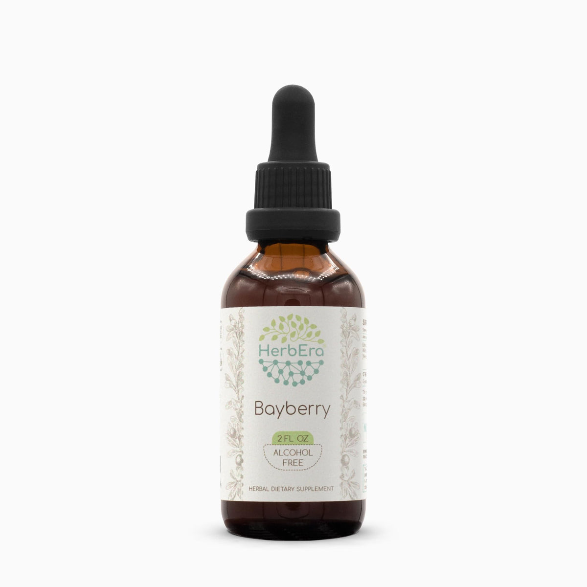 HerbEra Bayberry Alcohol-Free Herbal Extract Tincture