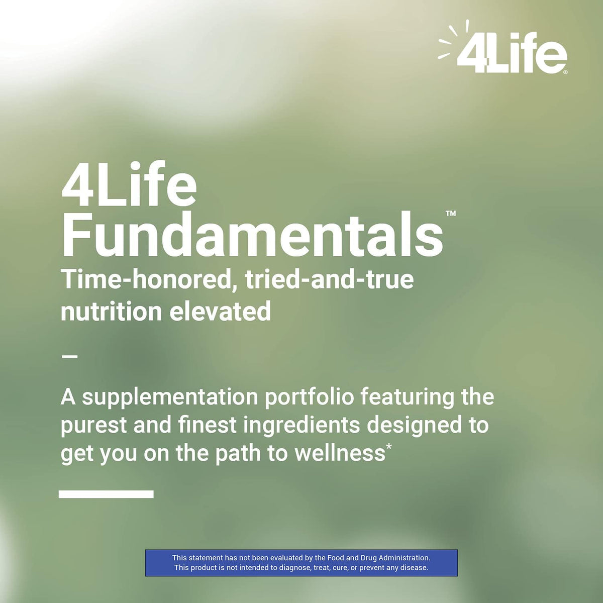 4Life Fibro AMJ Day Mobility Support with Glucosamine MSM - 90 Capsules - image 5