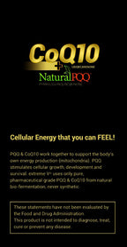 extreme V CoQ10 QQ with PQQ Vegetarian Softgels - 30 Count - image 4
