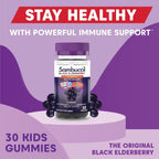 Sambucol Black Elderberry Gummies for Kids, Low Sugar - 30 Count - image 5