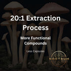 Nootrum Mushrooms with Lion's Mane & Cordyceps - 120 Capsules - image 3