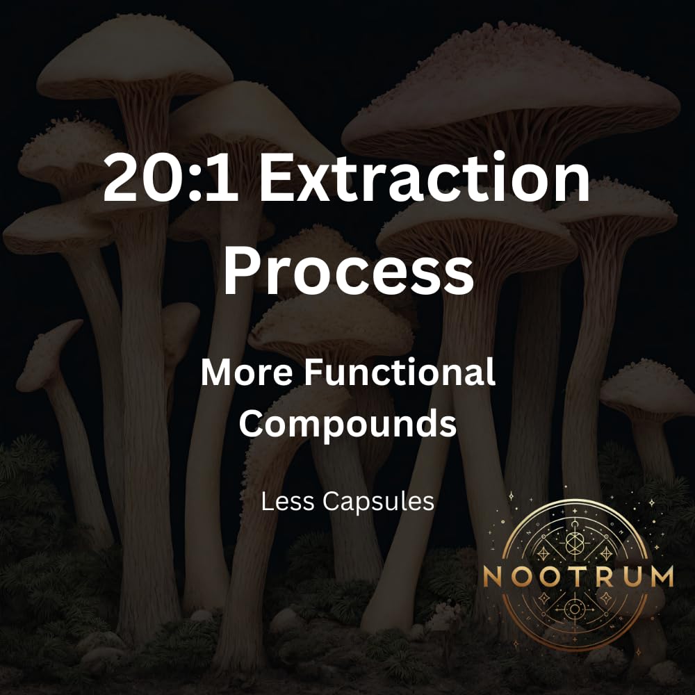 Nootrum Mushrooms with Lion's Mane & Cordyceps - 120 Capsules - image 3