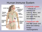NaturalyPure Serious Immune Booster Mushroom Complex - 180 Vegetarian Capsules - image 3