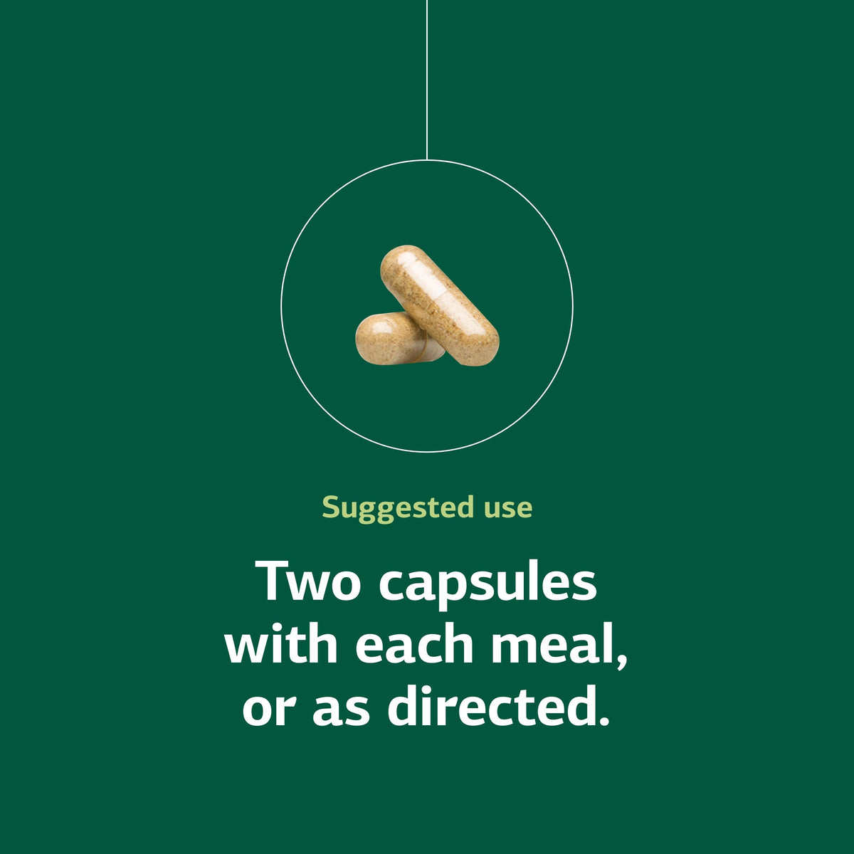 Standard Process Senaplex Nervous System & Brain Health - 90 Capsules - image 5