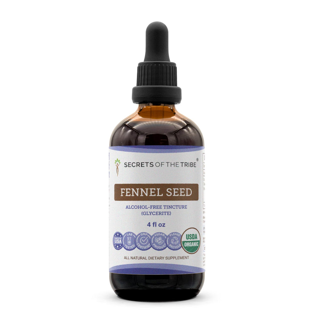 Secrets of the Tribe Fennel Seed Tincture Alcohol-Free Extract - 4 FL OZ