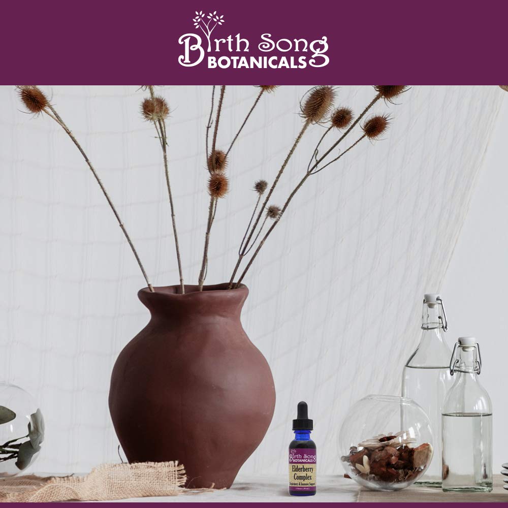 Birth Song Botanicals Elderberry Complex Tincture - 1 Fl Oz - image 4