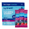 Hydrant Hydrate Zero Sugar Electrolyte Powder - 30 Packets