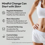 BIGVITA Slim+ GLP-1 & Gut Support Capsules - 90 Count - image 2
