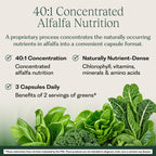 Symphony Natural Health pH Quintessence - 40:1 Alfalfa Concentrate