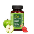CLEEFLEN Apple Cider Vinegar Gummies with B12 & Probiotics - 60 Count