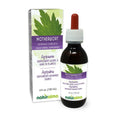Naturalma Motherwort Herb Liquid Extract - 4 fl oz