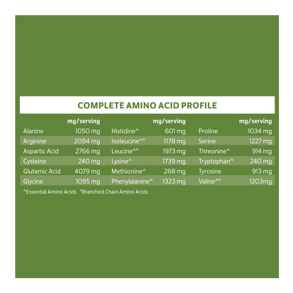 Biochem, Vegan Protein Powder, 20g of Plant-Based Protein to Support