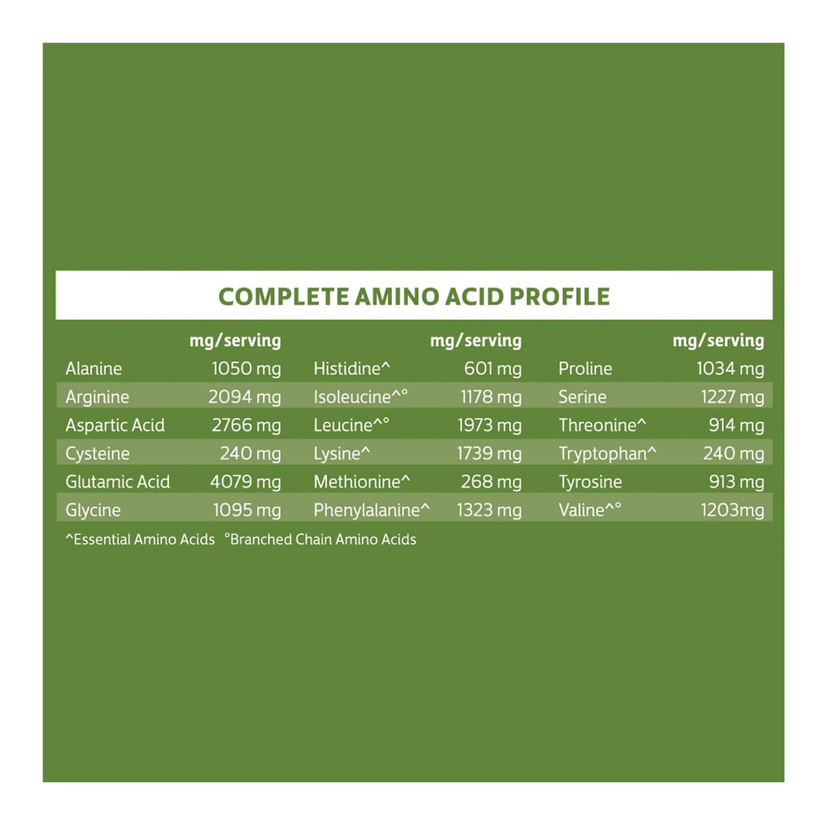 Biochem, Vegan Protein Powder, 20g of Plant-Based Protein to Support