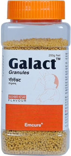 Generic Galact Granules Lactonic Kashmiri Kesar Flavor - 200g - image 2