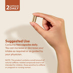 ANDREW LESSMAN Energy and Fat Metabolism Factors Capsules - Promotes