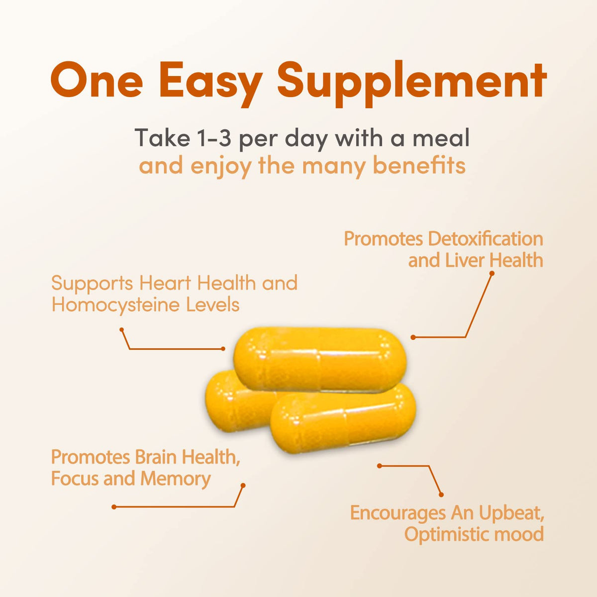 LowTE Florida Methyl Factors+ B Vitamins for Heart & Brain - 60 Capsules - image 2