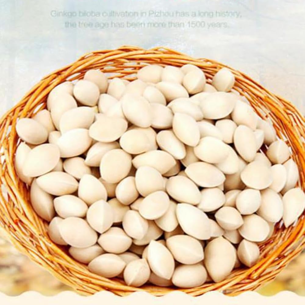 FHDYURE White Ginkgo Nut