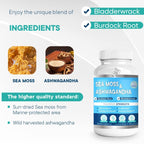 BIO VITALICA Sea Moss Ashwagandha Gummies for Women & Men