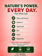 Seagate Olive Leaf Plus 450mg Immune Support - 90 Vegetarian Capsules - image 3