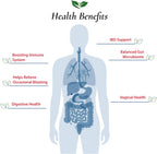 Foods For Gut Bacillus Coagulans Probiotic Powder - 30g - image 4