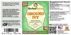 Herbal Terra LLC Ground Ivy (Glechoma hederacea) Tincture