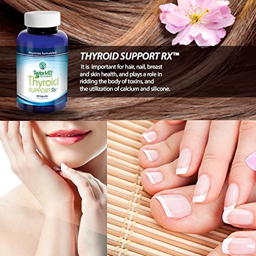 Taylor MD Thyroid Support Rx - 60 Capsules - image 3