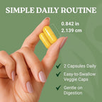 Swiss Activa+ Labs Organic Berberine 7-in-1, Ceylon Cinnamon, Ginger Root | Metabolic & Digestive Support, Turmeric, Apple Cider Vinegar & Bioperine for Absorption, 90 Day Supply - image 7