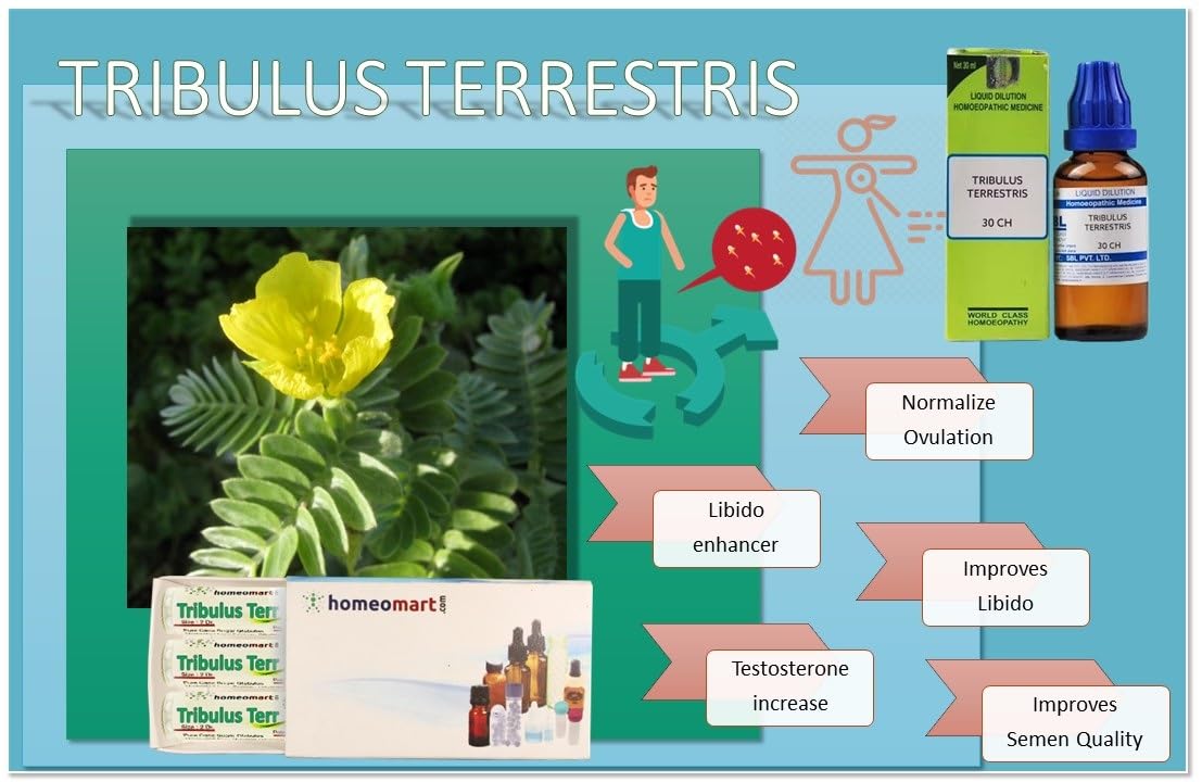 homeomart.com Tribulus Terrestris Homeopathy Pellets 200C - Pack of 3 - image 7