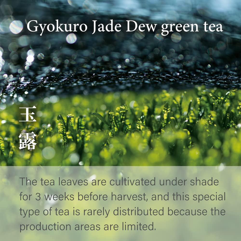 KIMIKURA Gyokuro Green Tea from Japan - 70g - image 2