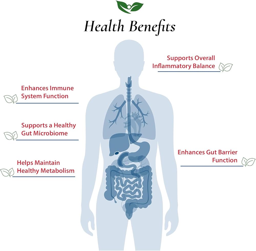 Foods For Gut Akkermansia Muciniphila Pasteurized Powder 100 Billion