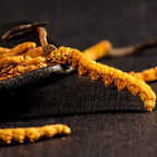 Generic Cordyceps Sinensis Wild Himalayan Whole - 6g - image 5