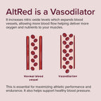 Sur Nutrition AltRed Beet Root Capsules for Muscle Recovery