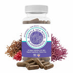 BocaHeal Purple Sea Moss + Bladderwrack Capsules - 60 Count