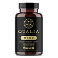 Qualia Mind