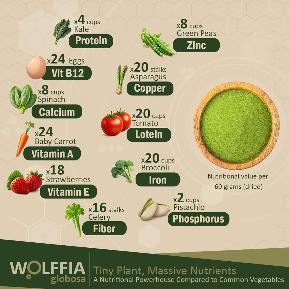 AMA GROW Wolffia globosa Superfood Powder - 60g - image 2