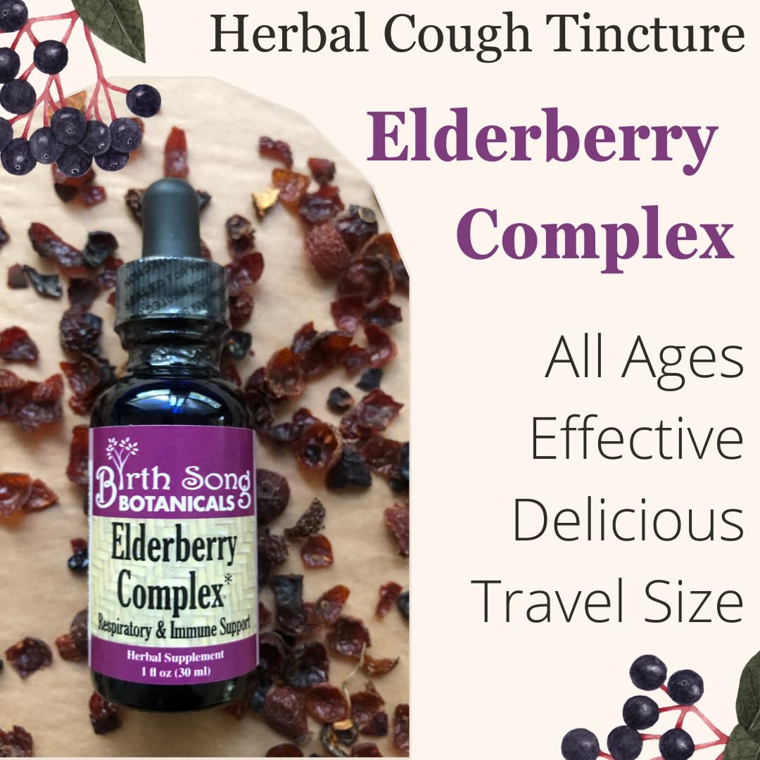 Birth Song Botanicals Elderberry Complex Tincture - 1 Fl Oz - image 2