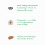 The Nue Co. Magnesium Gut Barrier+ Powder - 200g - image 3