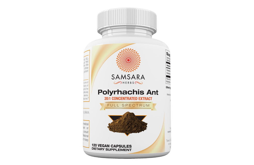 Samsara Herbs Polyrhachis Ant