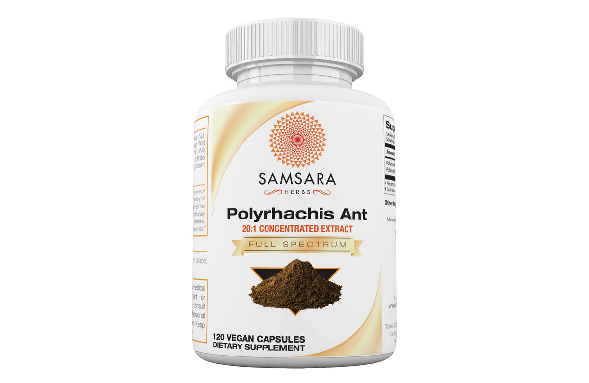 Samsara Herbs Polyrhachis Ant